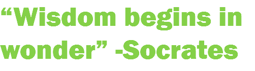 “Wisdom begins in wonder” -Socrates